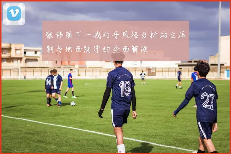 张伟丽下一战对手风格分析站立压制与地面防守的全面解读