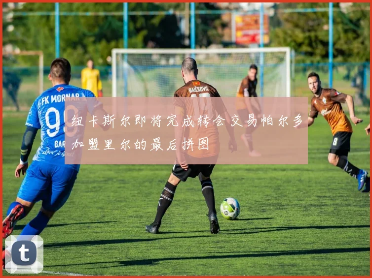 纽卡斯尔即将完成转会交易帕尔多加盟里尔的最后拼图