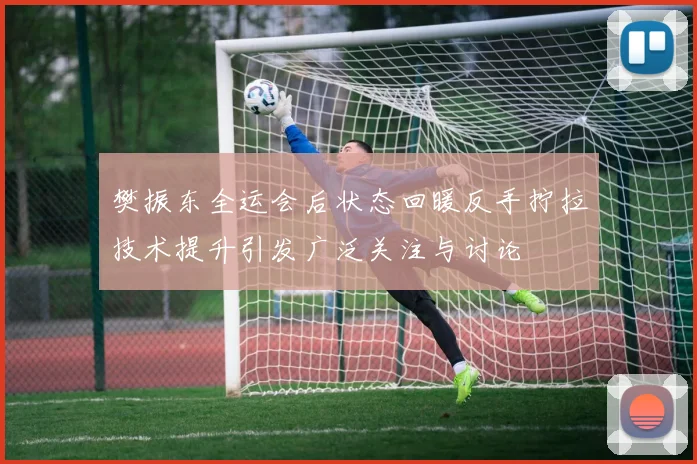 樊振东全运会后状态回暖反手拧拉技术提升引发广泛关注与讨论